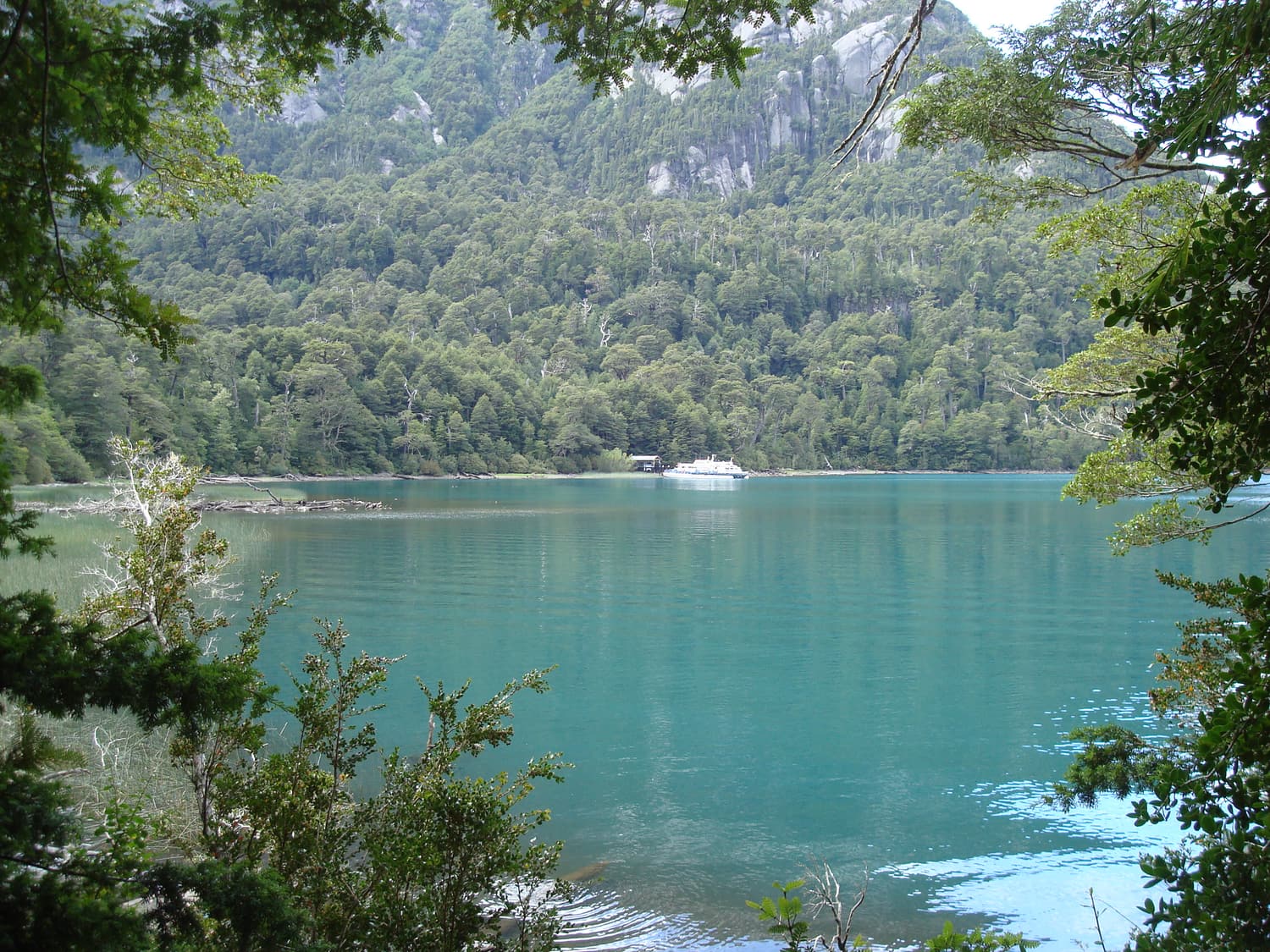 Turquoise water and dense rainforest at Puerto Blest
